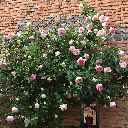 à La De De Lau Bed and breakfast 3*