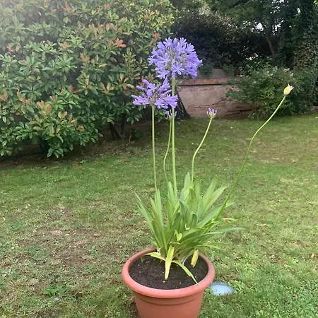 à La De De Lau Bed and breakfast Noé