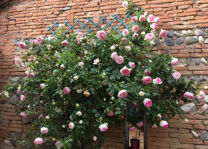 A La De De Lau Nocleg ze śniadaniem 3*