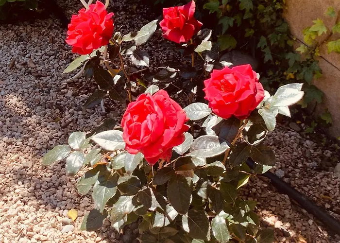 A La De De Lau Nocleg ze śniadaniem 3*