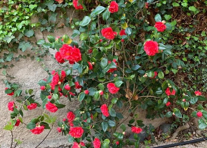 Frühstückspension A La De De Lau 3*