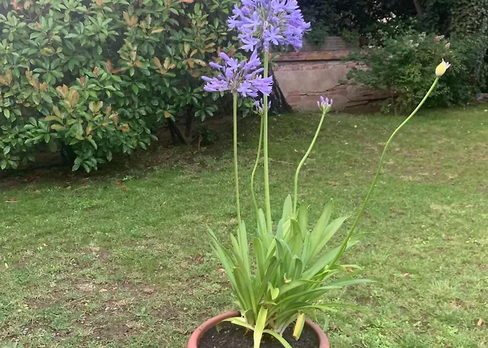 A La De De Lau Frühstückspension Noé